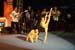 Charity_Gym020